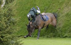 3706160.jpg