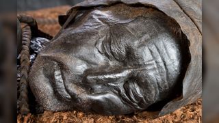 The well-preserved head of Tollund Man, who lived about 2,400 years ago.