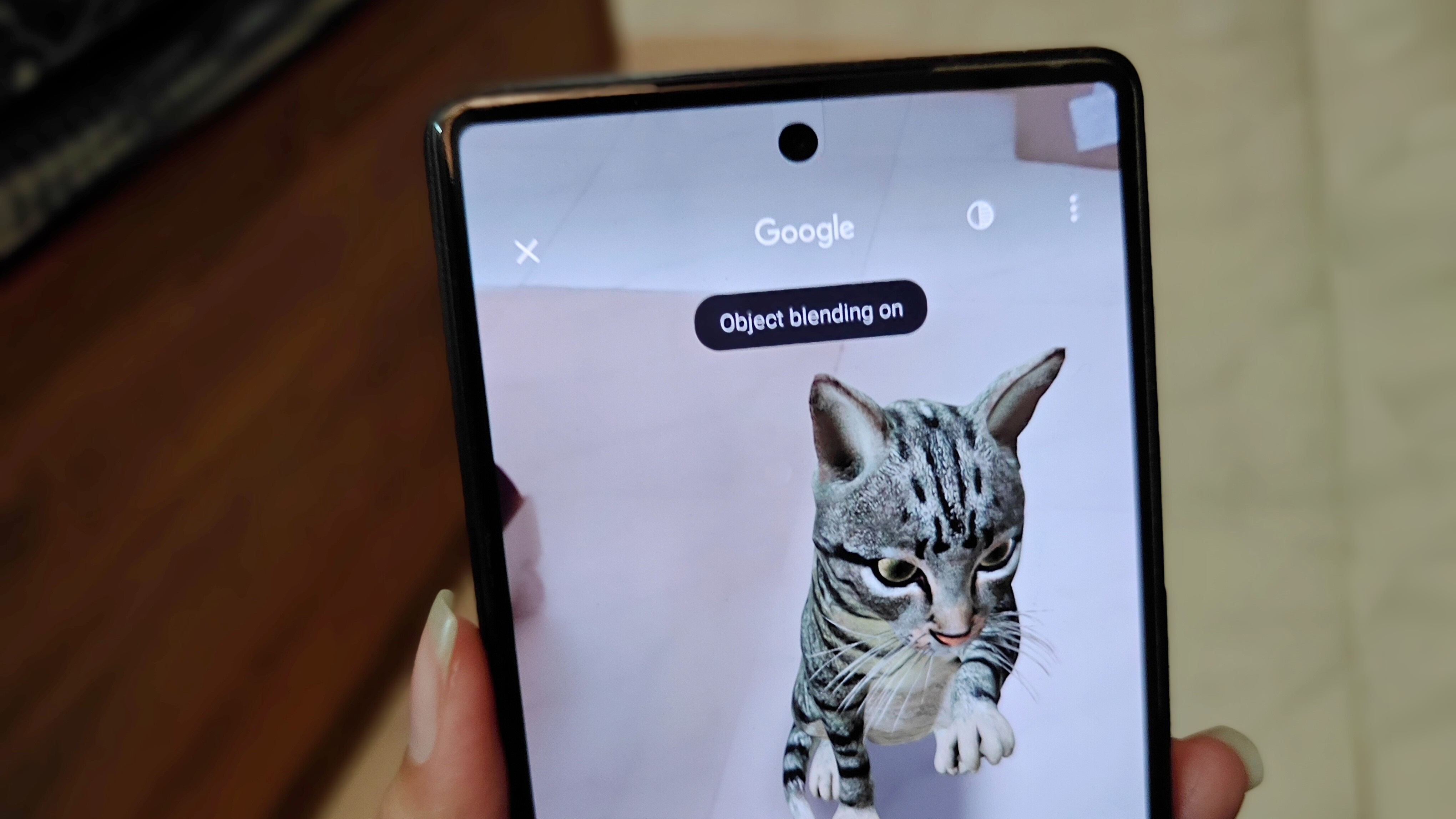 Mélange d'objets dans Google 3D animaux et objets AR View