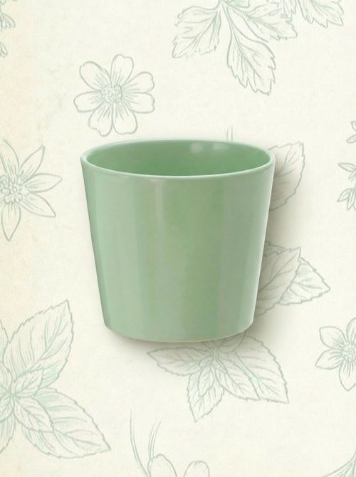Sojab&ouml;na Plant Pot