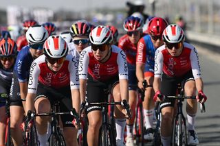 MADINAT ZAYED UNITED ARAB EMIRATES FEBRUARY 09 LR Hannah Ludwig of Germany Kirstie Van Haaften of The Netherlands and Cofidis Women Team compete during the 2nd UAE Tour 2024 Stage 2 a 113km stage Al Mirfa Bab Al Nojoum to Madinat Zayed UCIWWT on February 09 2024 in Madinat Zayed United Arab Emirates Photo by Dario BelingheriGetty Images