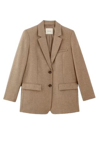 Everlane The Oversized Blazer in Wool