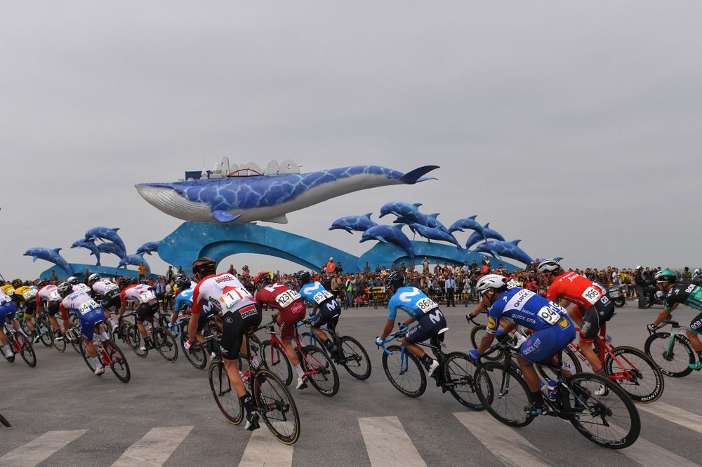 Watch out for the whale