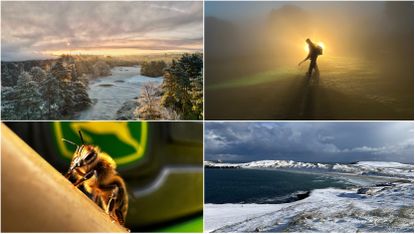 Four shots of BIGGA's annual photography competition winners in 2023