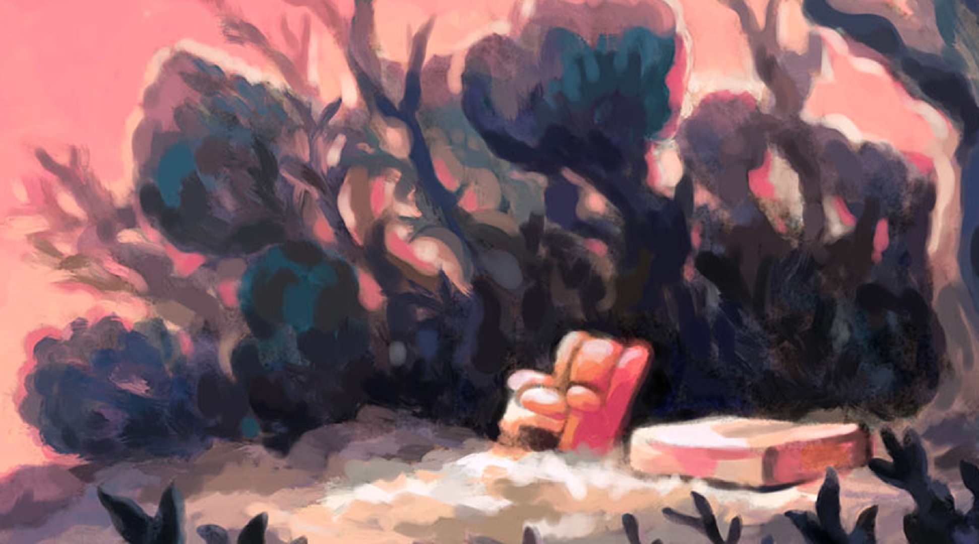 Furniture & Mattress