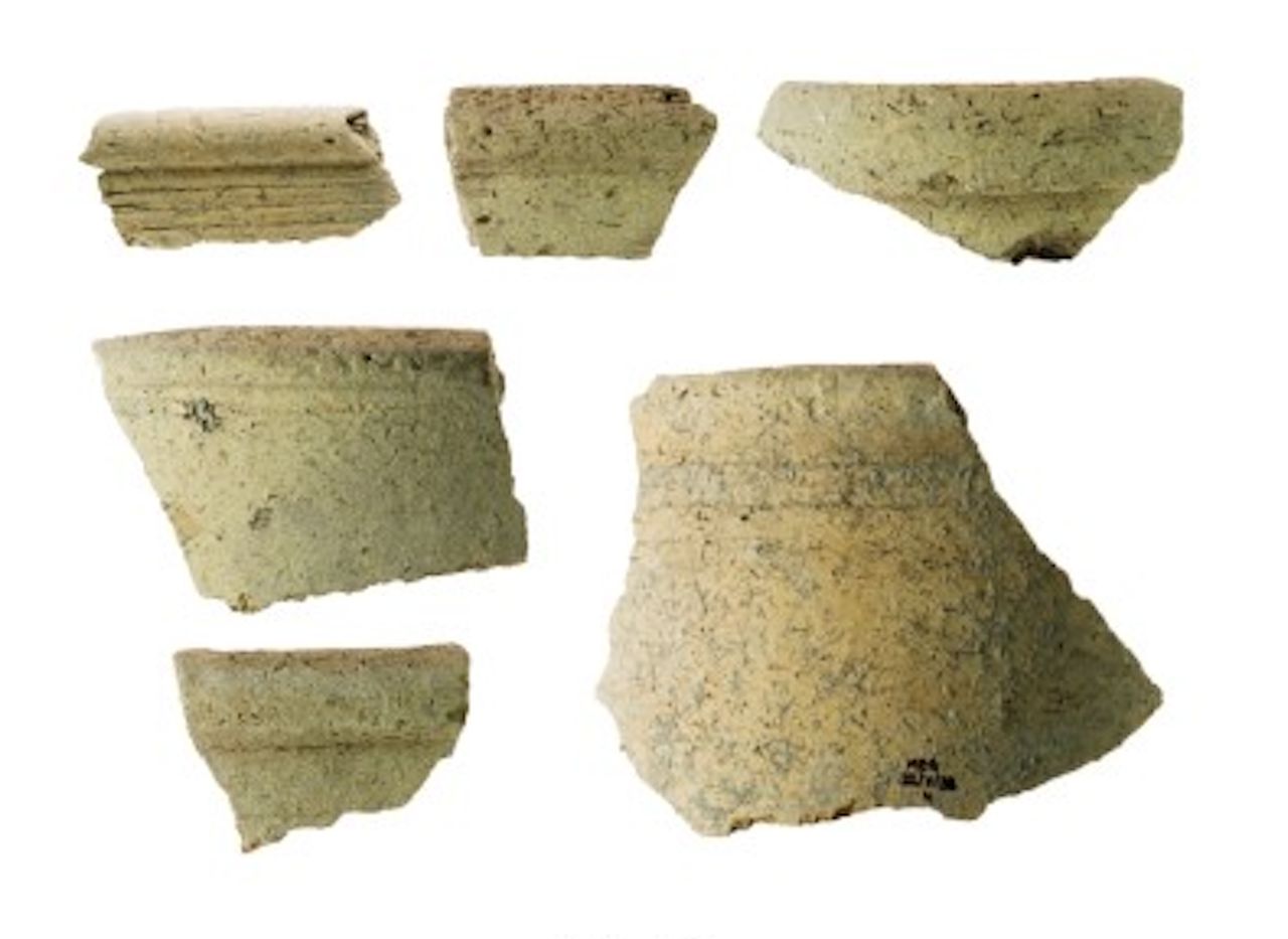 a photo of various pottery fragments