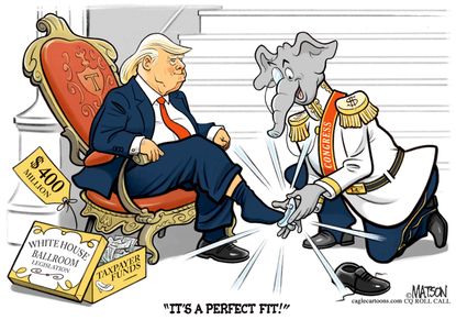 Political Cartoon