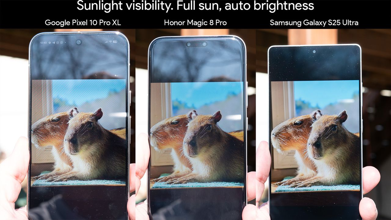 Viewing an HDR picture of capybaras on the Google Photos app in the sunlight on a Google Pixel 10 Pro XL, Honor Magic 8 Pro, and a Samsung Galaxy S25 Ultra