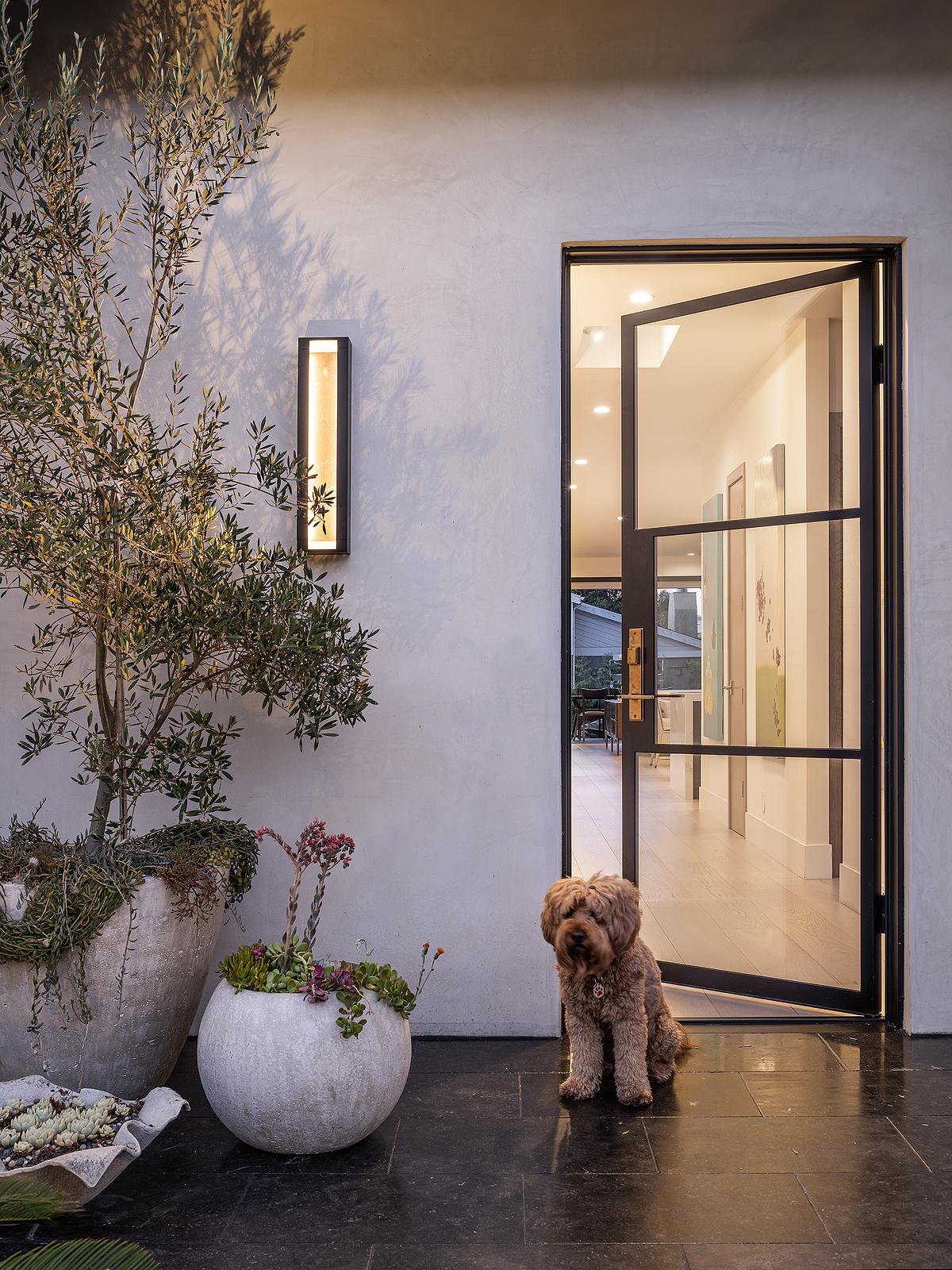 A front door with a wall light