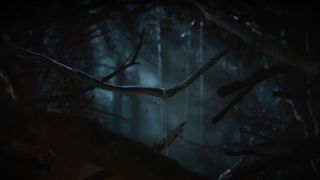 A screenshot of a dark woods during the reveal trailer for Assassin's Creed: Codename Hexe