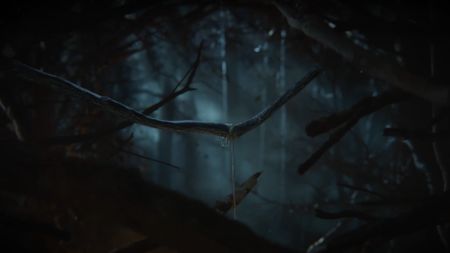 A screenshot of a dark woods during the reveal trailer for Assassin's Creed: Codename Hexe
