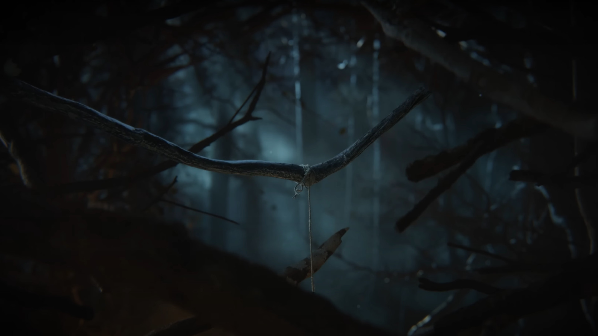 A screenshot of a dark woods during the reveal trailer for Assassin's Creed: Codename Hexe