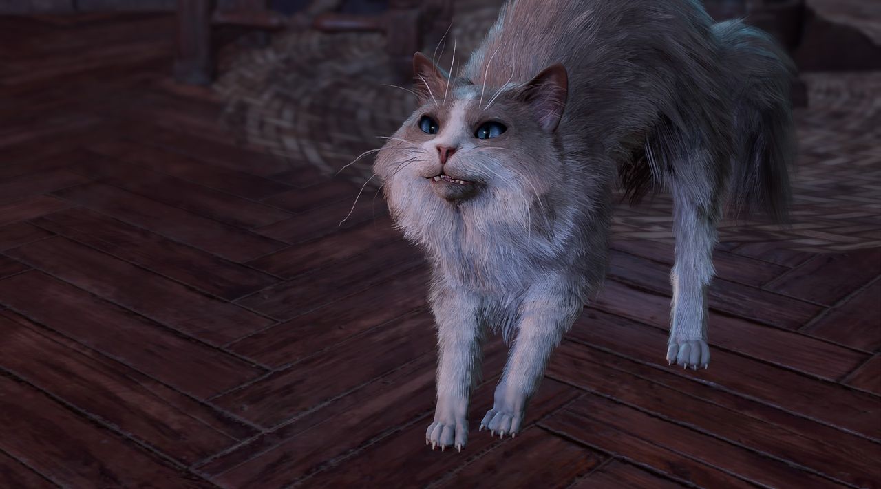 His Majesty in Baldur's Gate 3 with hair