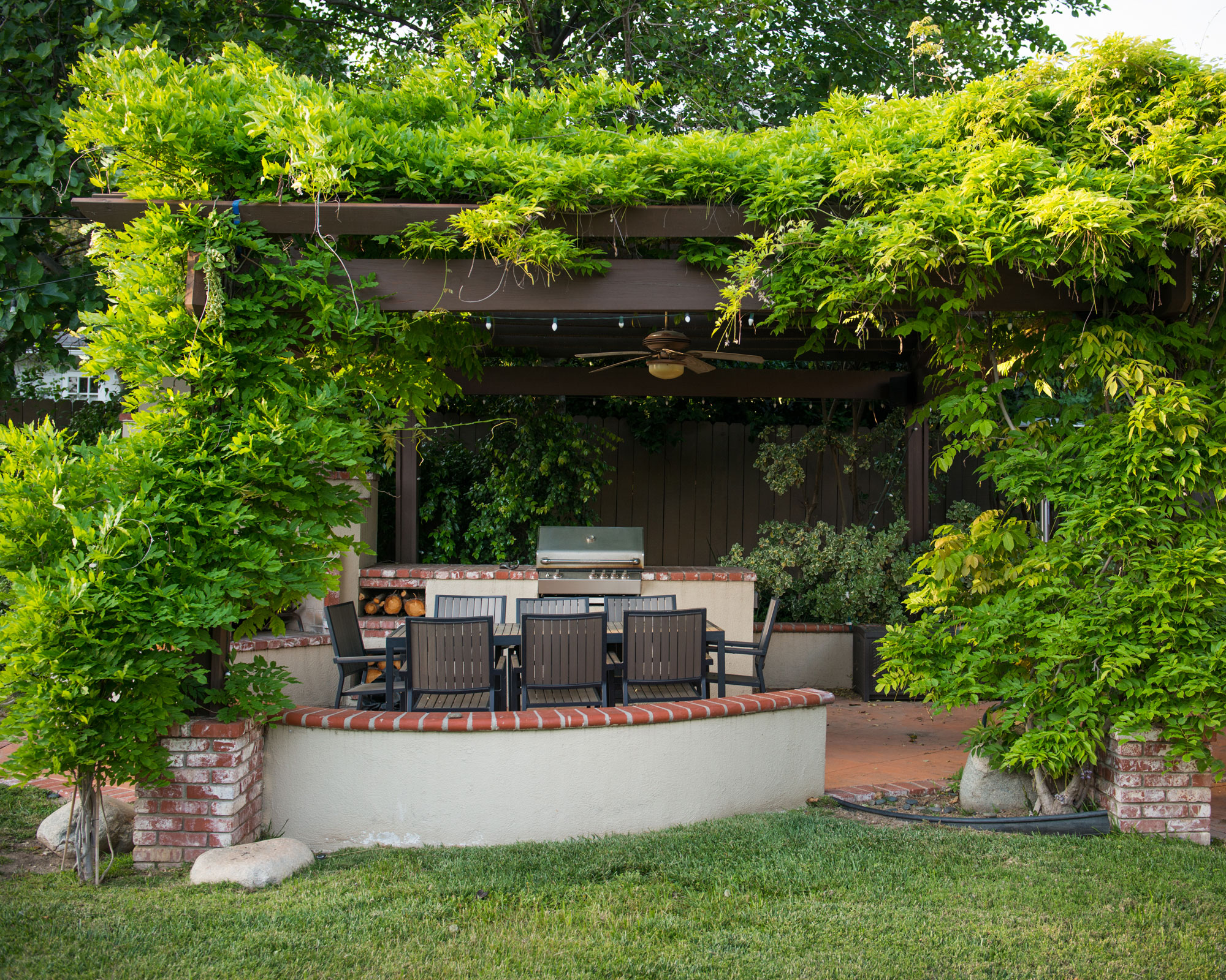 pergola covered with climbing plants on a patio with garden furniture and outdoor kitchen