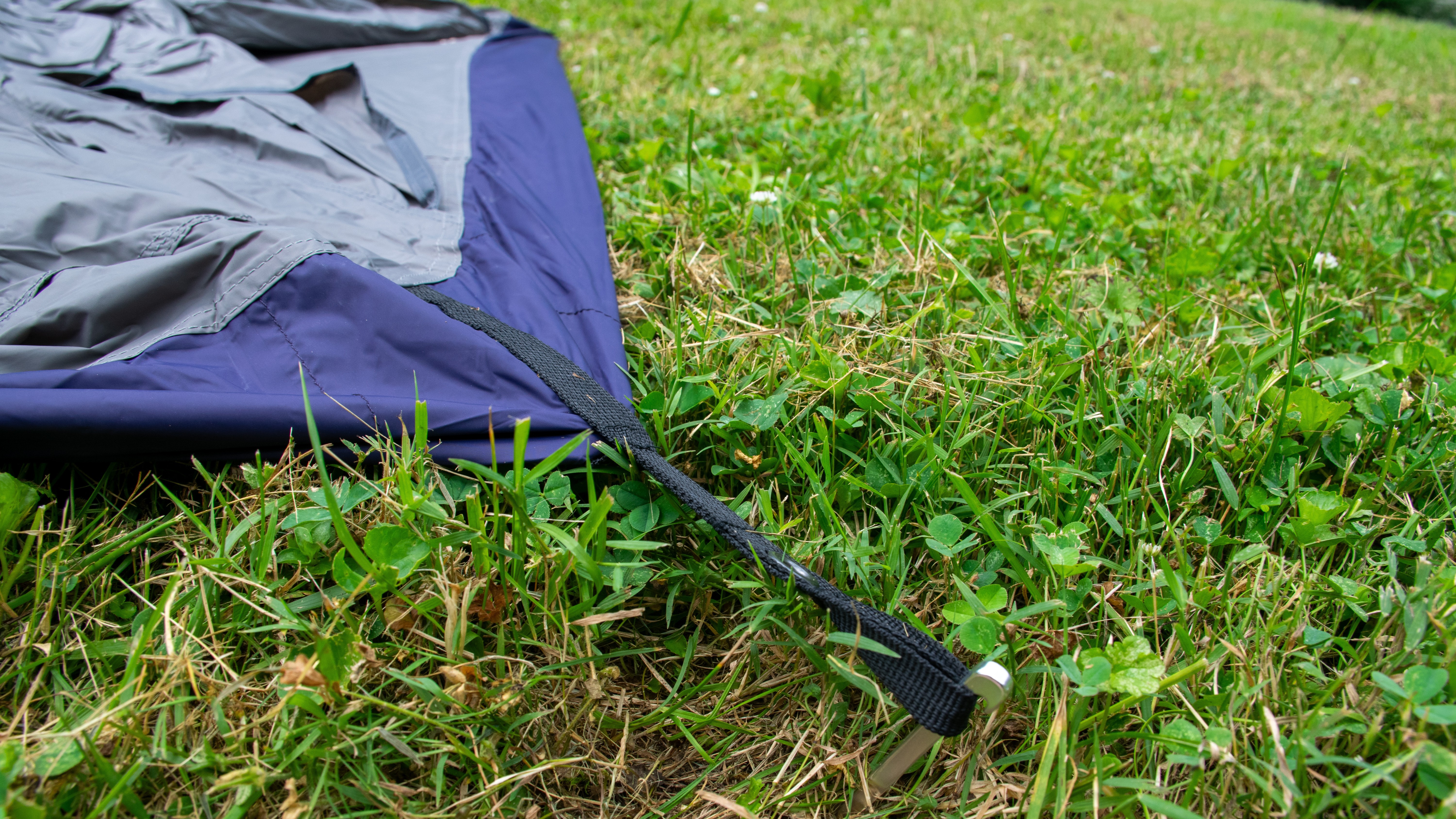 the corner of a nylon sheet secured to the grassy ground with a chrome stake.