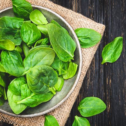 How to grow spinach in a pot - and it couldn't be easier | Ideal Home