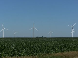 Google - blowing in the wind