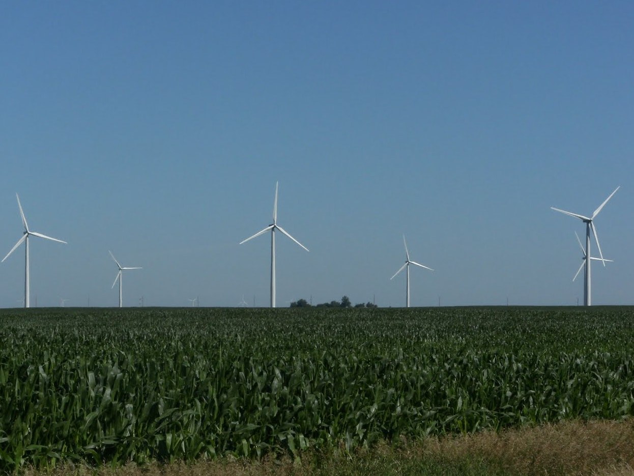 Google - blowing in the wind