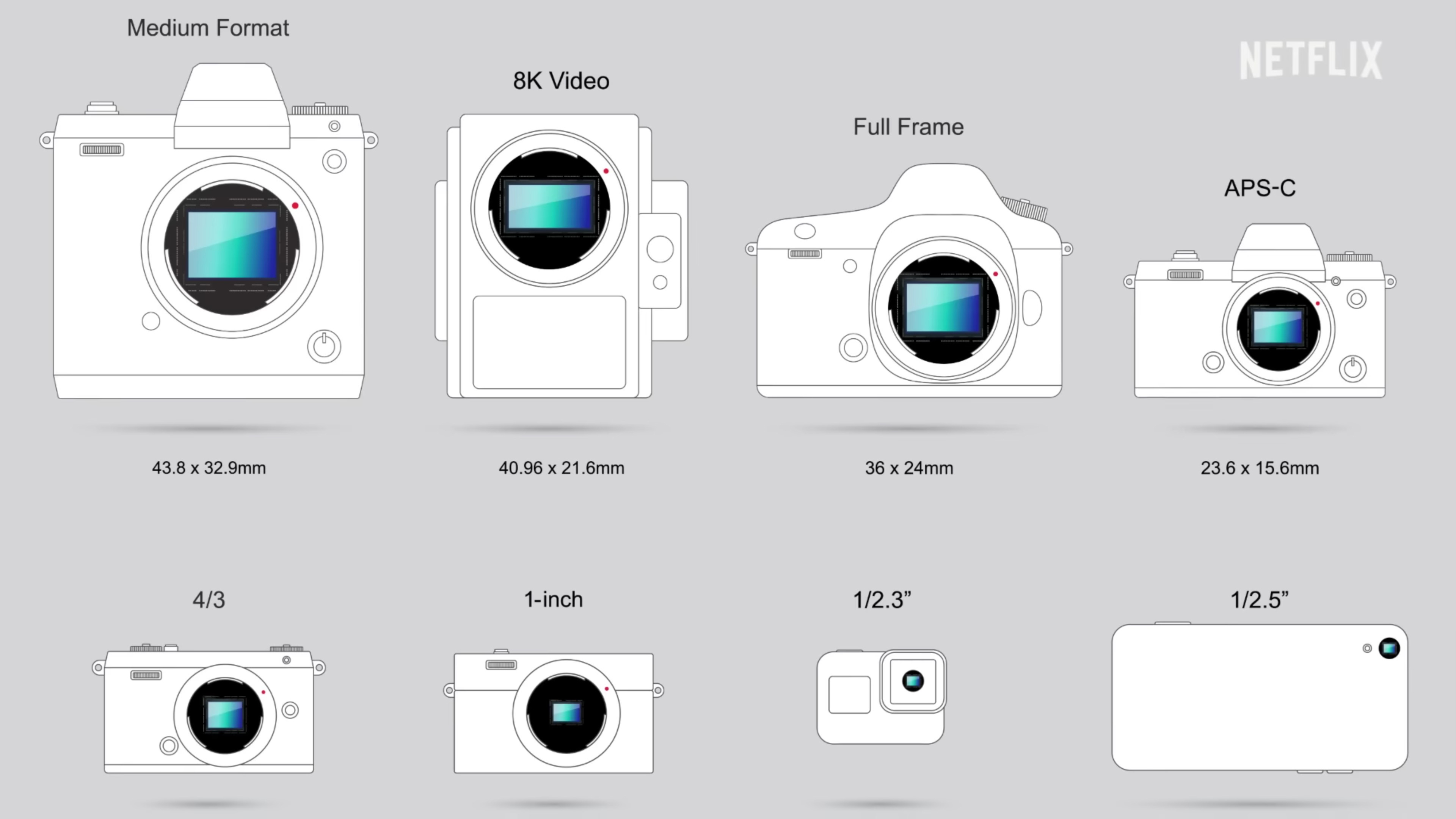 Diagrams of different sizes of camera sensors