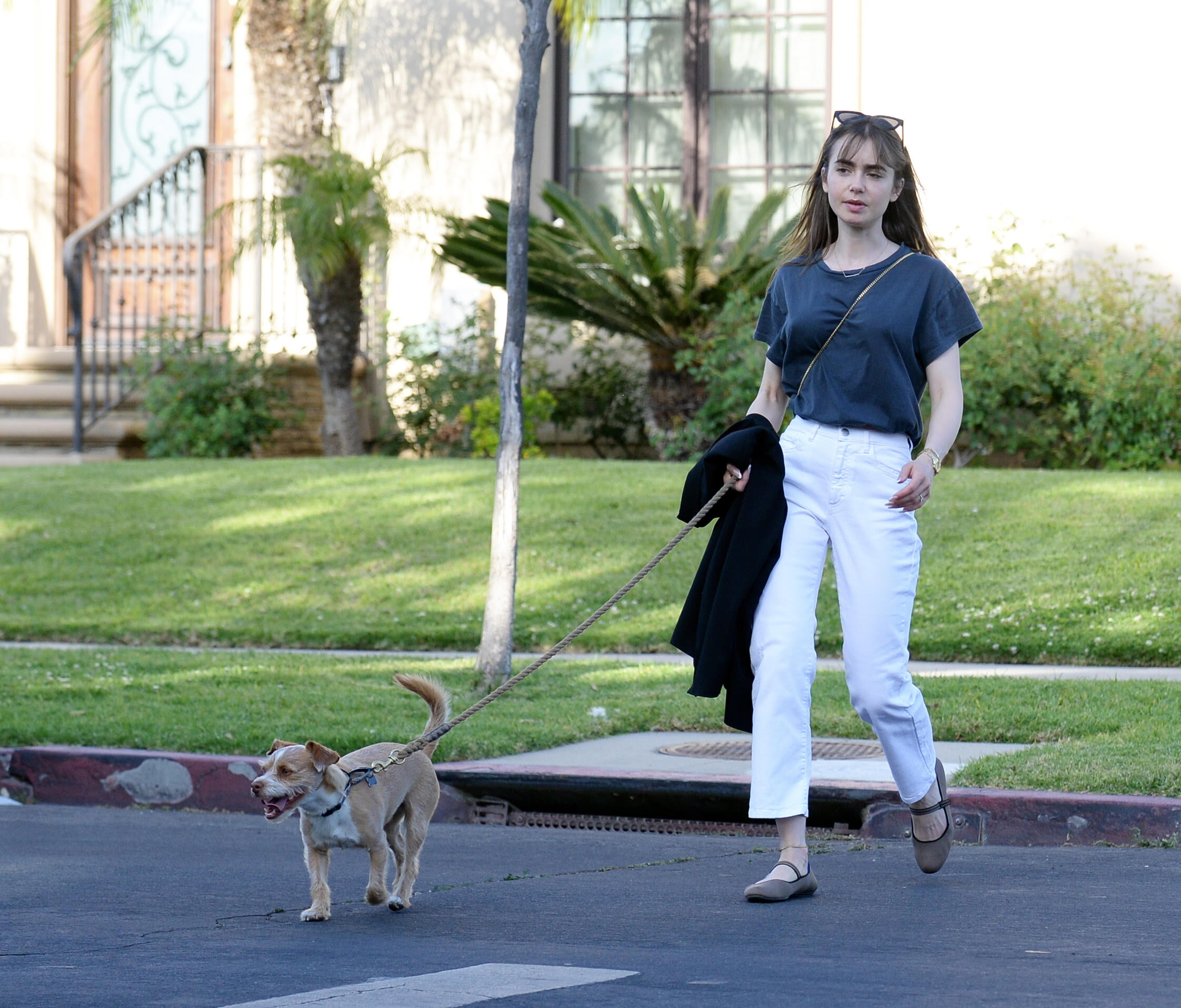 Lily Collins walks her dog wearing Rothy's mary jane flats