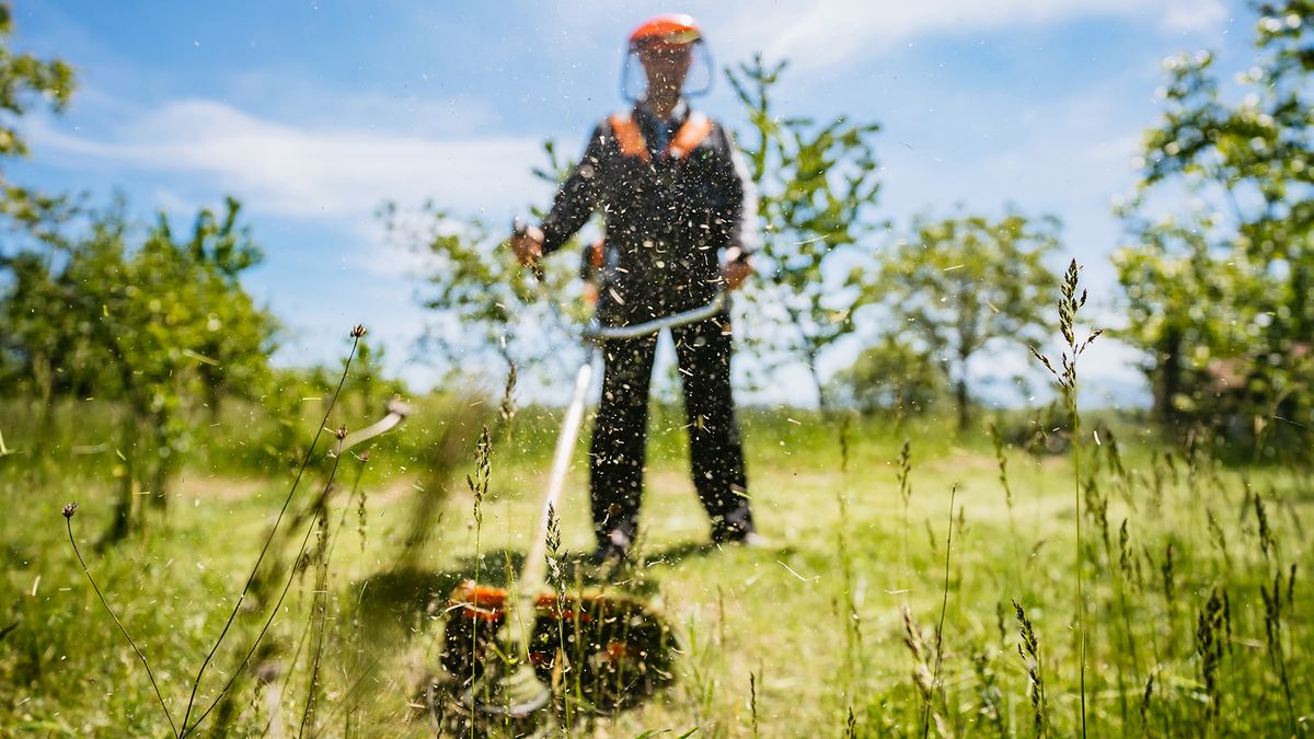 What are lawn trimmers?