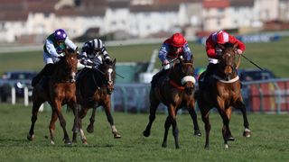 Horse racing at Ayr racecourse in 2022