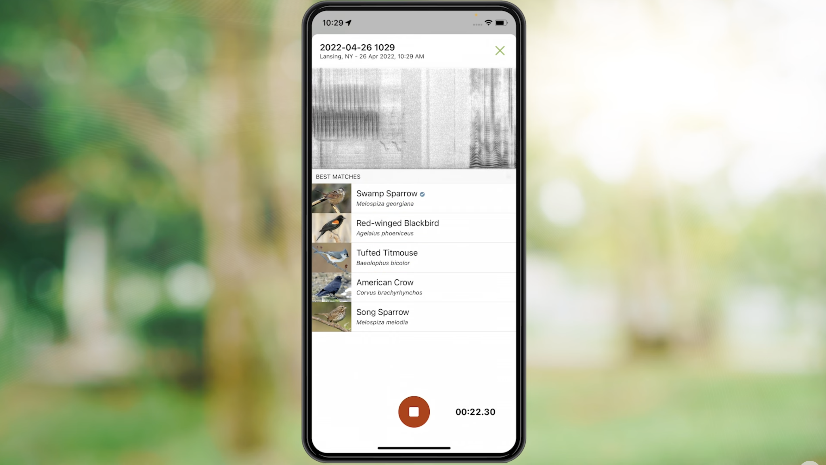 A screenshot of the Merlin Bird ID app