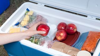 A hand reaches for an apple in a cooler