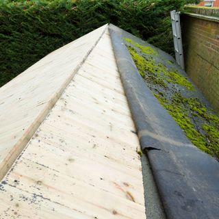 removing old felt from a shed roof