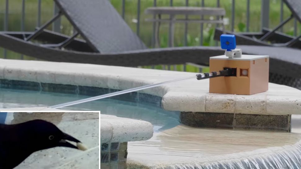Raspberry Pi Shoos Away Birds Without Hurting Them | Tom's Hardware