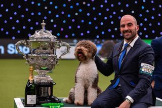 Crufts 2023 Best in Show winner: Orca the Lagotto Romagnolo from Croatia and her owner Mr A Lucin pose by a big trophy and bottle of champagne.