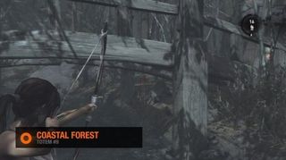 Tomb Raider Coastal Forest Totem #9