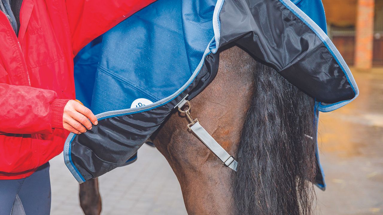 Swish Equestrian lightweight turnout review