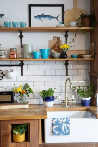 How to Organize the Cabinet Under the Kitchen Sink, A Foolproof Process in  2023