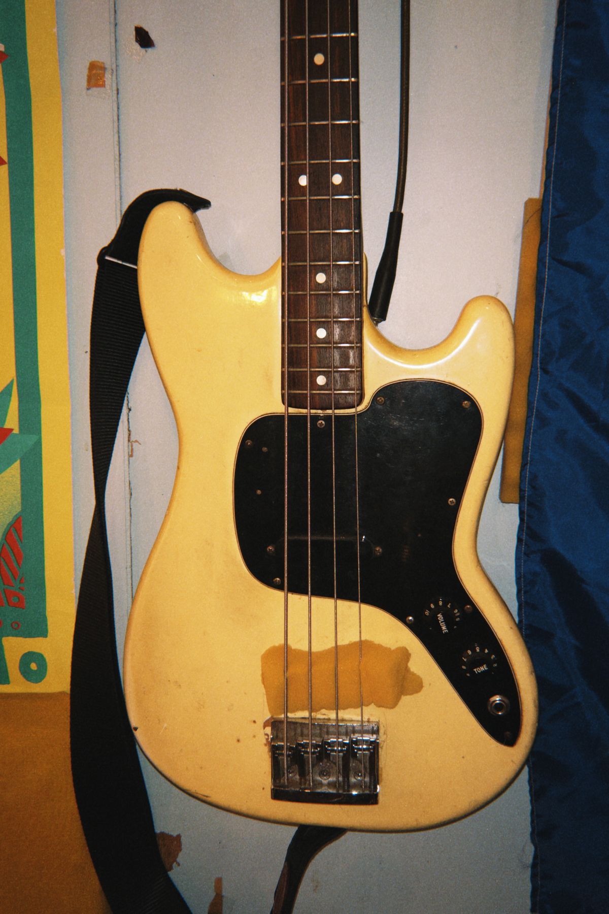 Pachyman bass