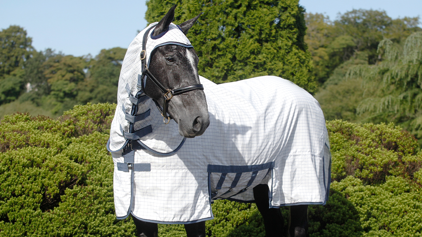 Masta Combo Sweet Itch Fly Rug