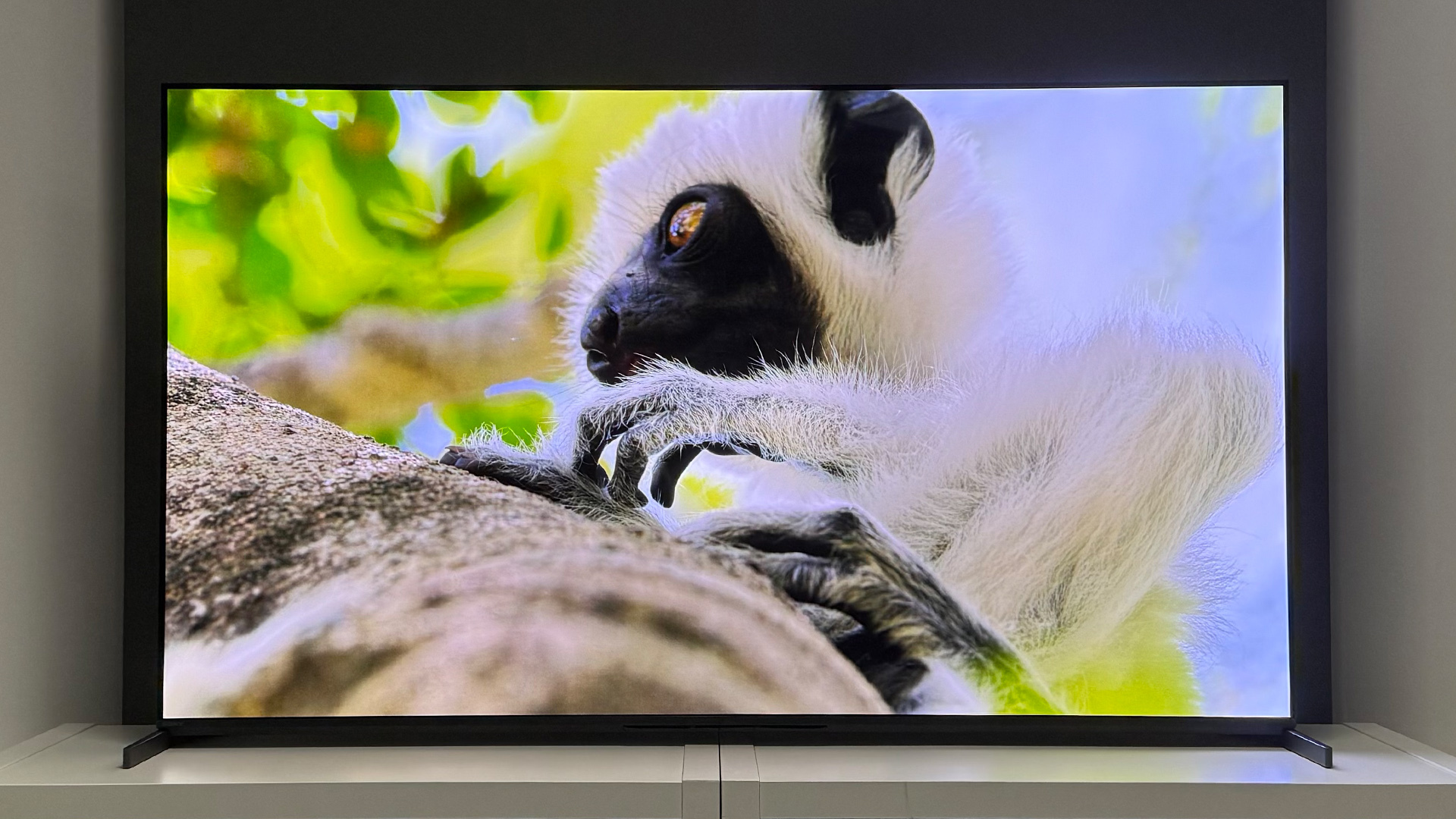The 55-inch Sony Bravia 8 II QD-OLED TV photographed on a white table. On the screen is a nature documentary.