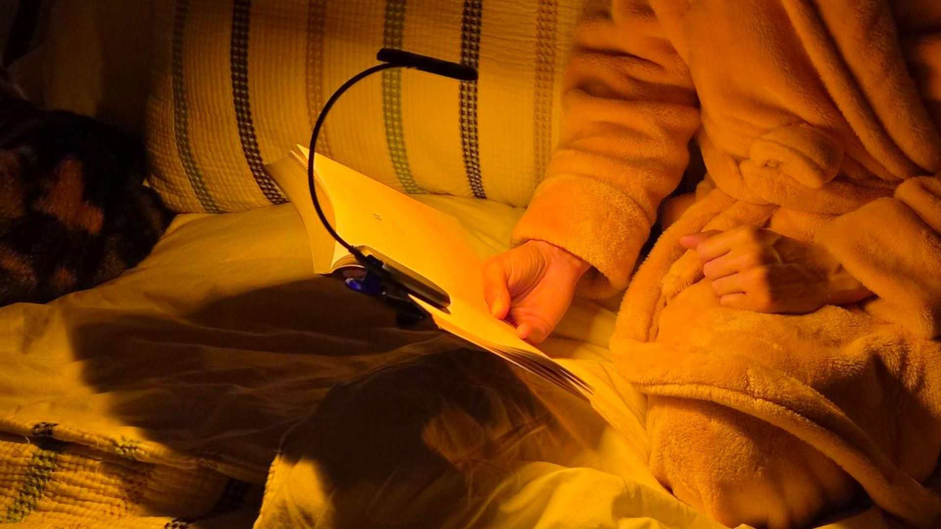 The image shows a woman wearing a pink dressing gown while sat up in bed reading a book by the light of an amber book lamp. Next to her, a cat is curled up asleep.