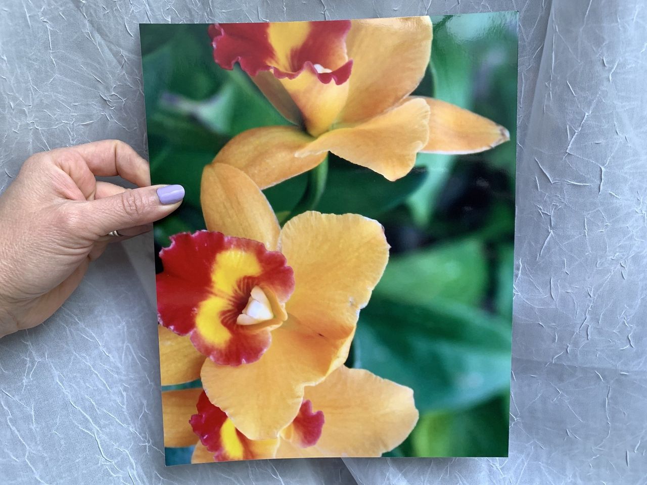 CVS Photo Printing