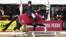 National Dressage Championships silver inter I