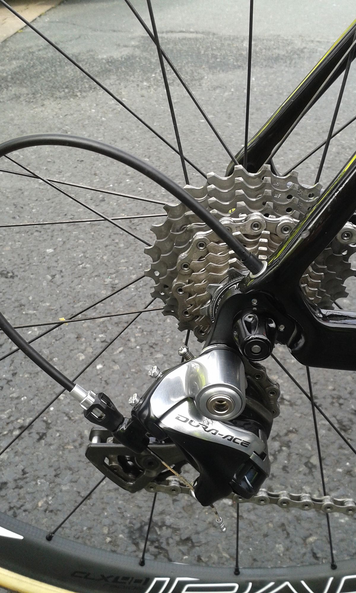 Peter Sagan's rear chainrings