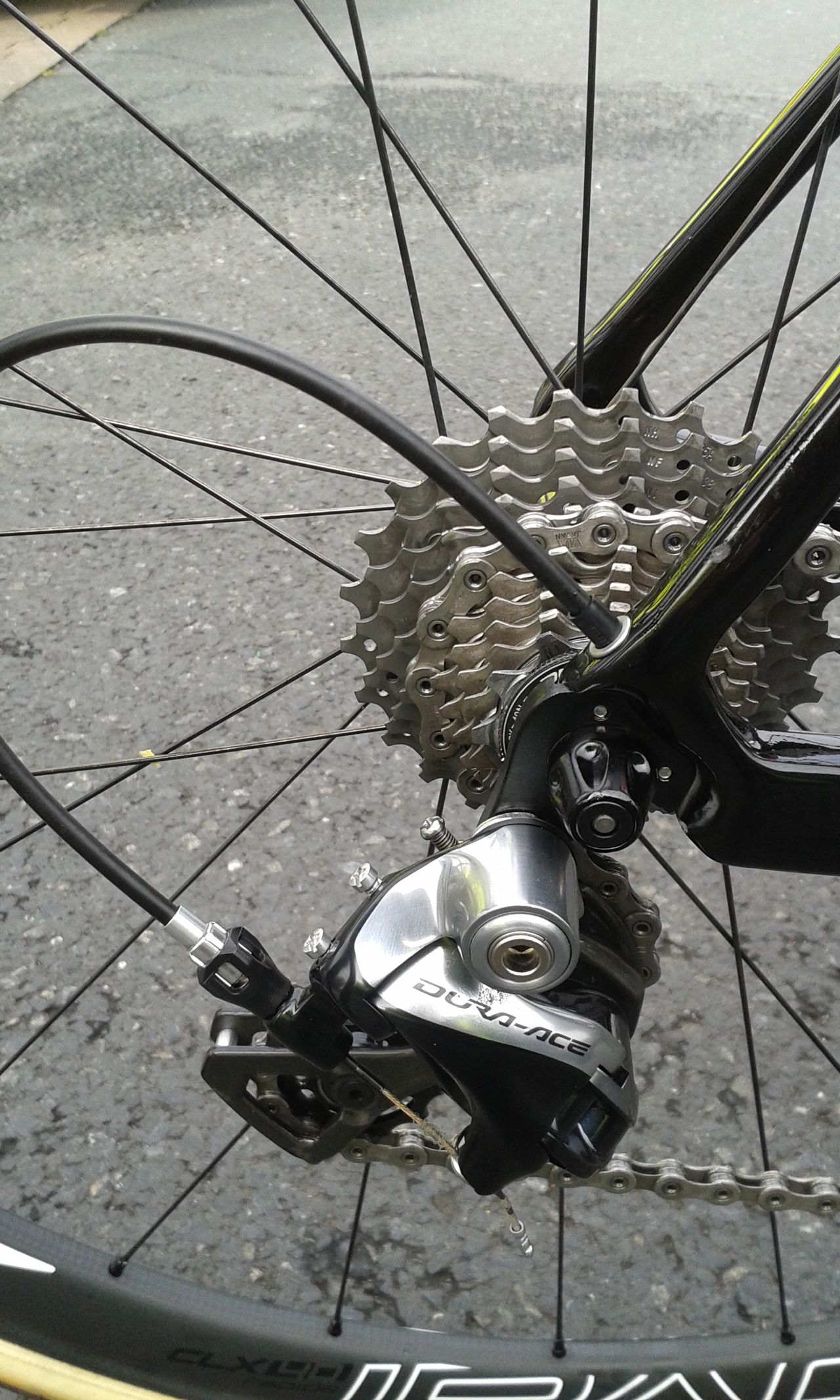 Peter Sagan's rear chainrings