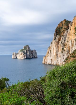 Pan Di Zucchero in Sardina