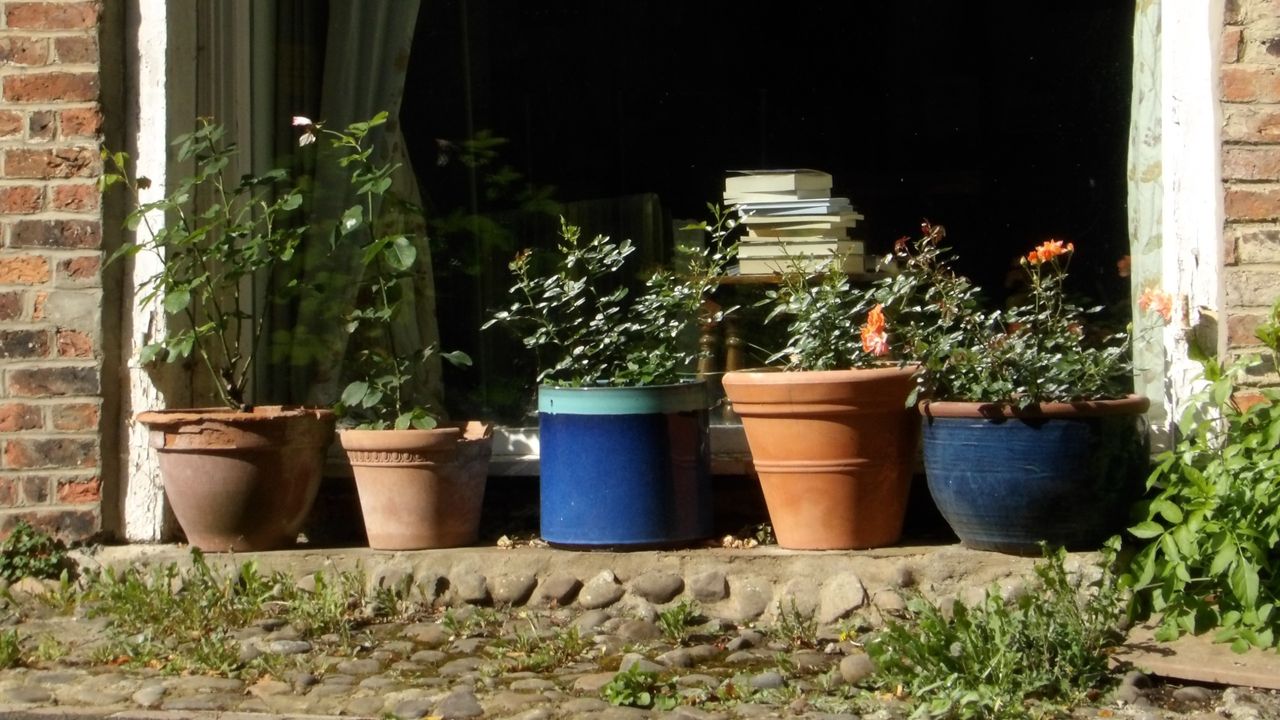 Images taken with the Kodak Pixpro AZ653