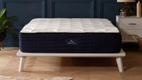 2. DreamCloud Luxury Hybrid mattress:from £499