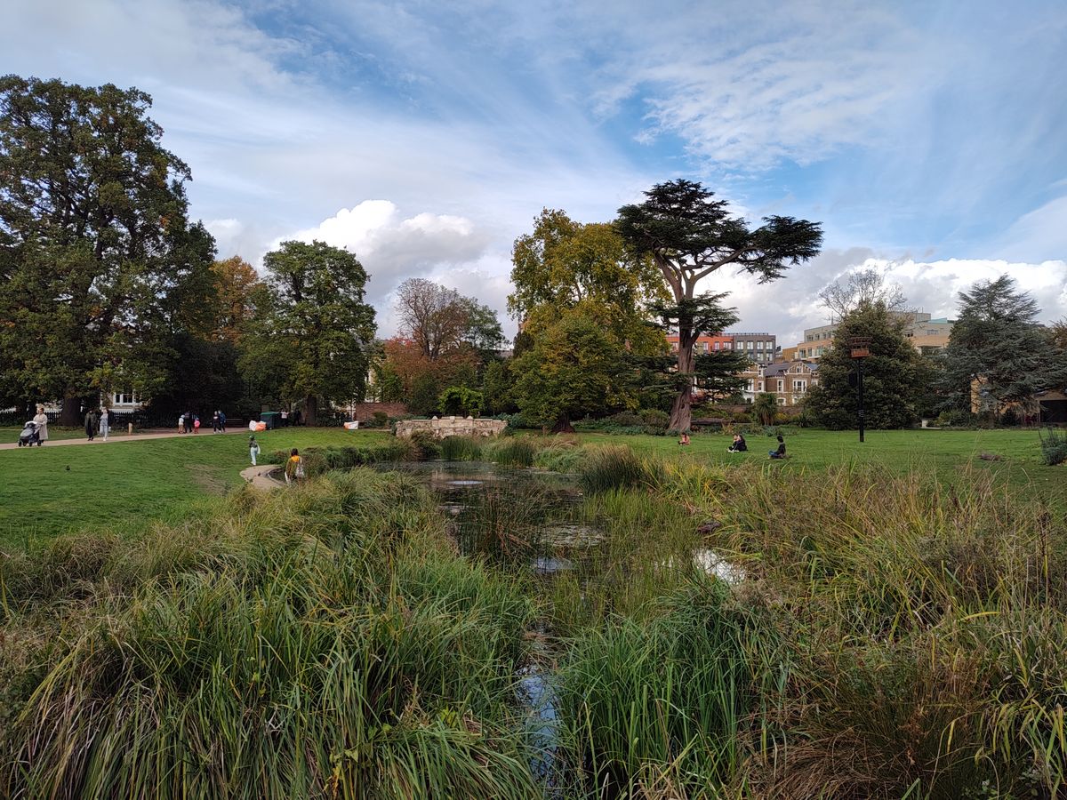 A photo captured on the Motorola Moto Edge 30