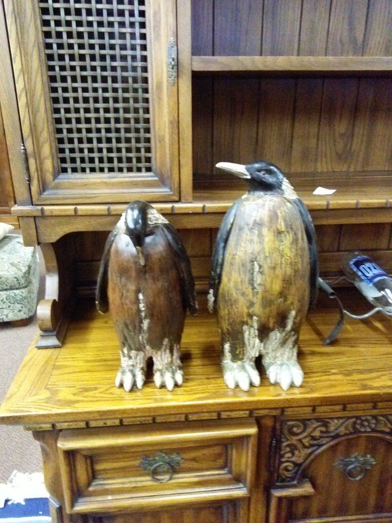 Penguins! Interior florescent lights.