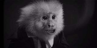 What Did Jack Do? monkey Netflix movie David Lynch