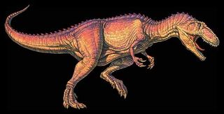 Giganotosaurus was 47 feet long and weighed 8 tons. It lived 95 million years ago. It was not the biggest carnivore ever, though. That credit goes ti Spinosaurus, thought to reach 55 feet in length.