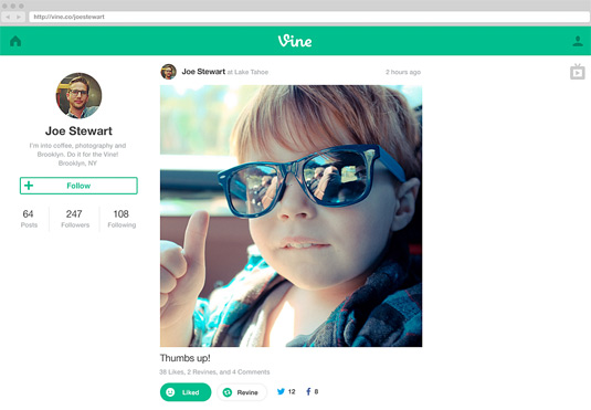 Old Vine profile